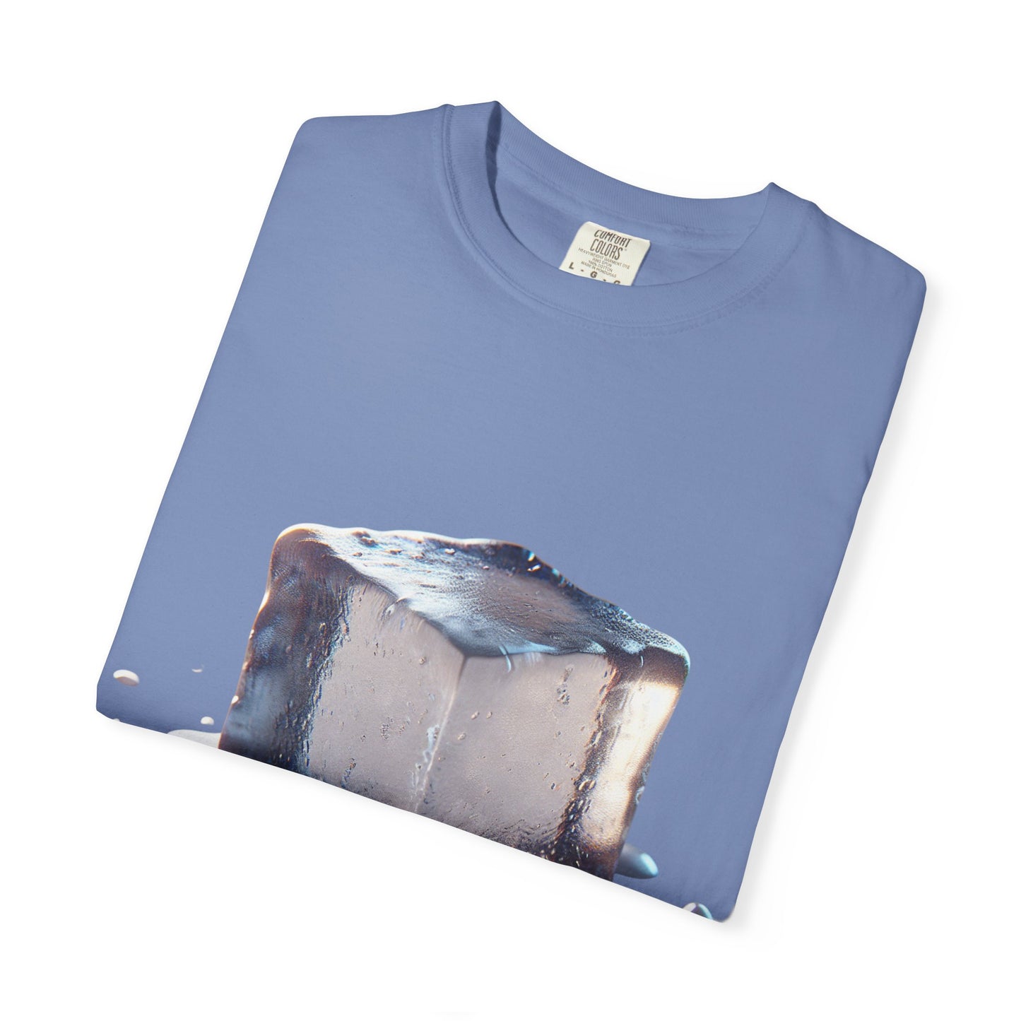 Activist Tee -Melt ICE
