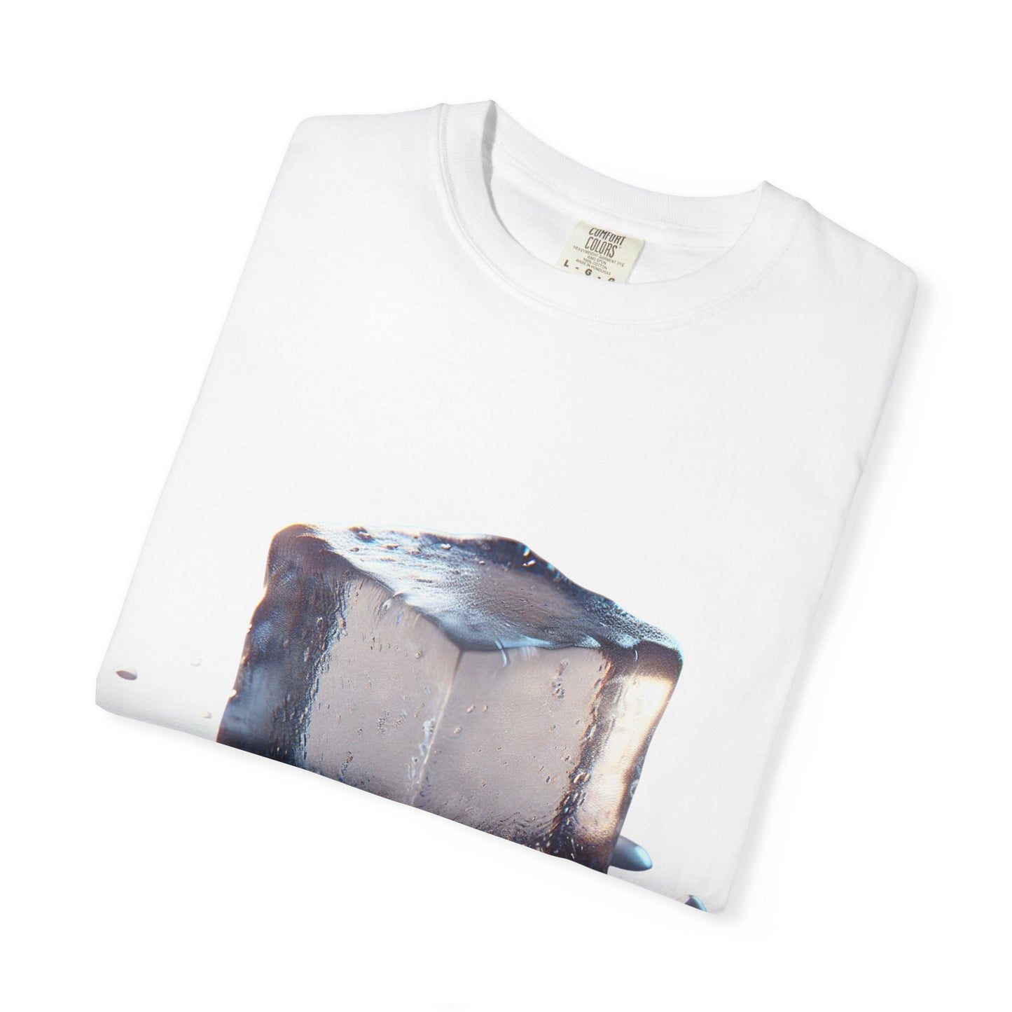 Activist Tee -Melt ICE