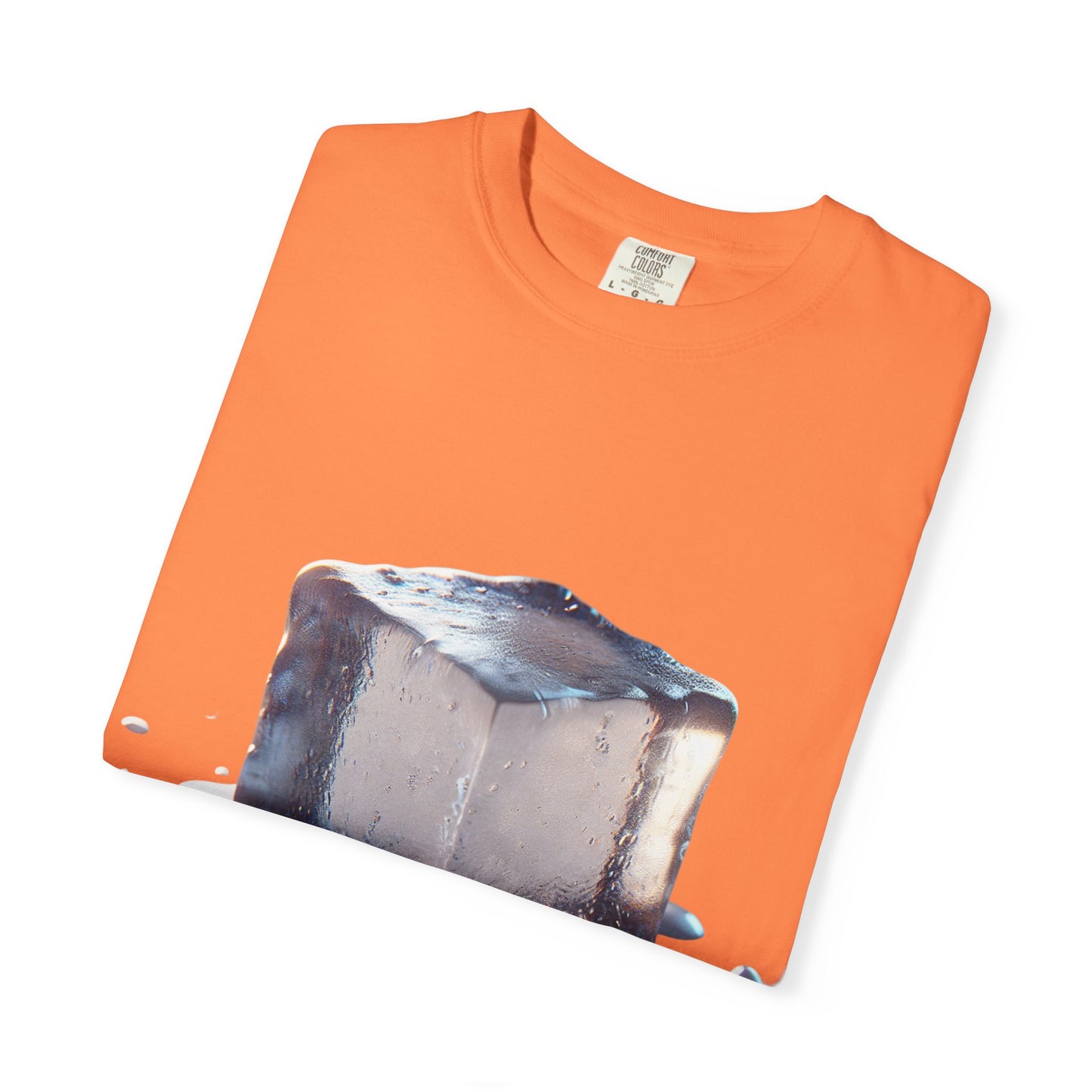 Activist Tee -Melt ICE