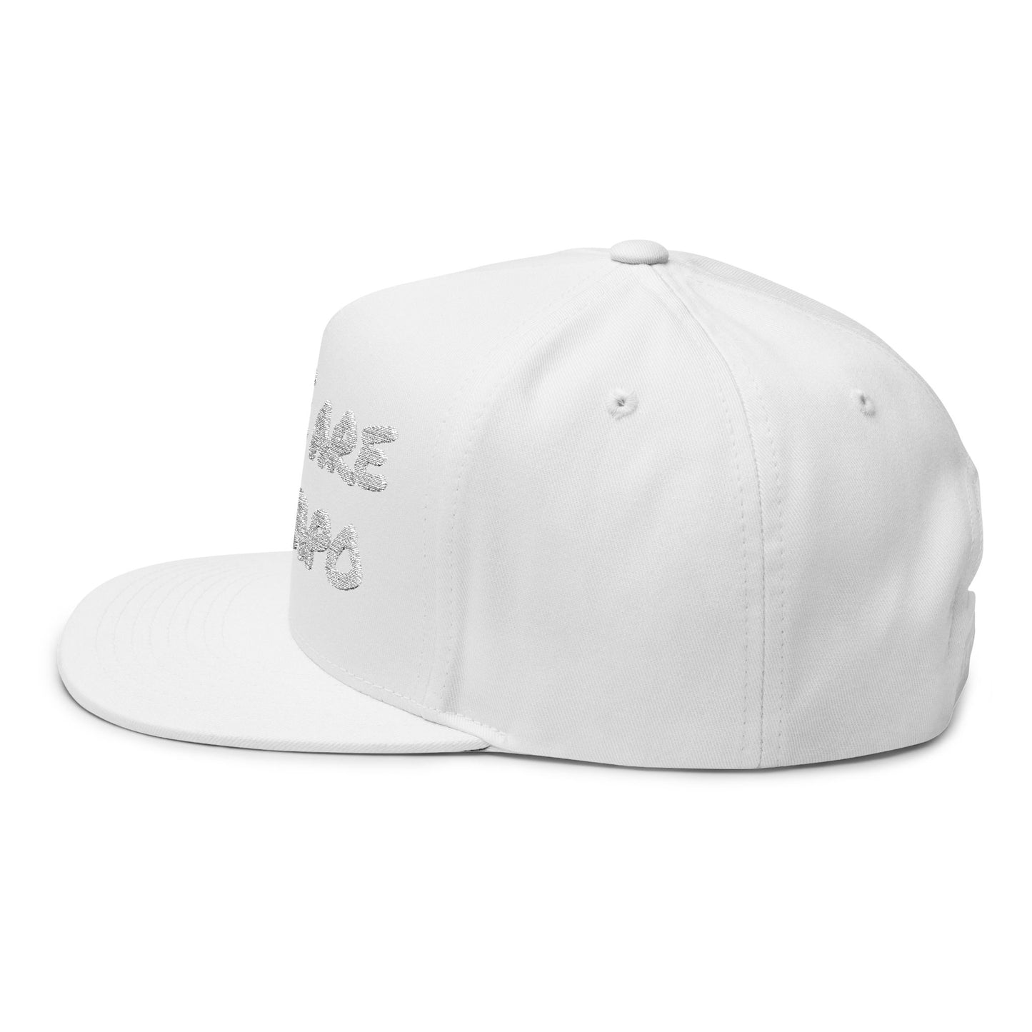 Embroidered Flat Bill Cap - ICE is Gestapo