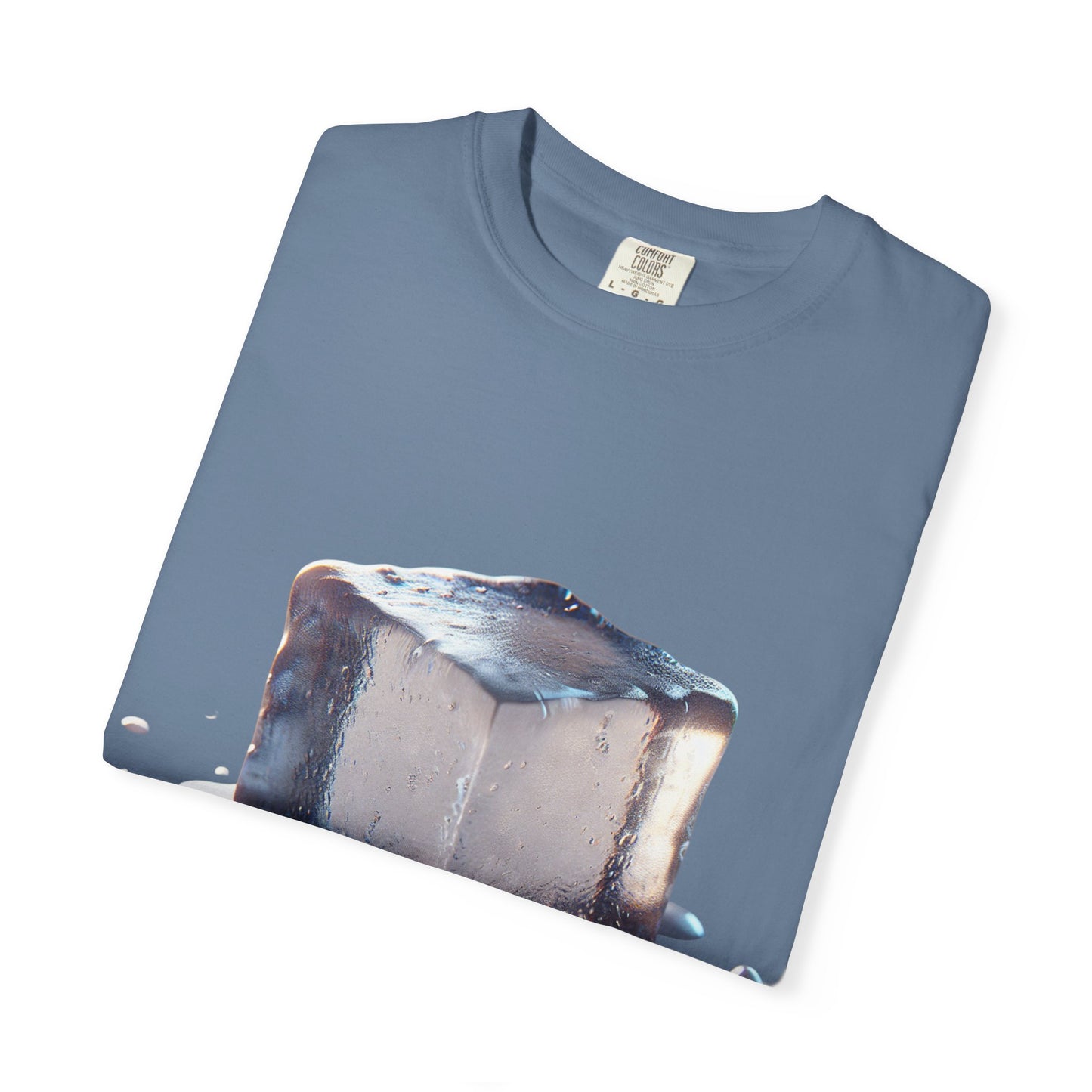Activist Tee -Melt ICE