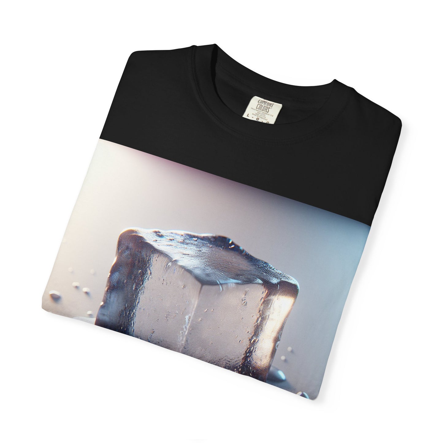 Activist Tee -Melt ICE